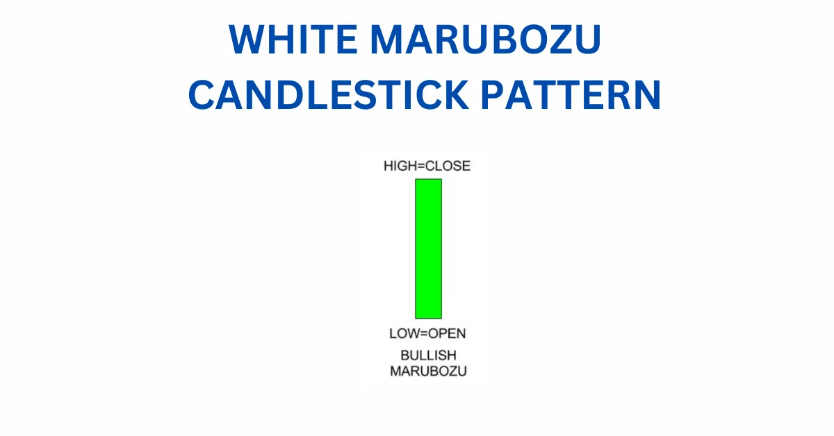 WHITE MARUBOZU CANDLESTICK PATTERN